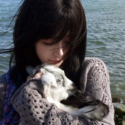 逗逗迪迪之美梦年年